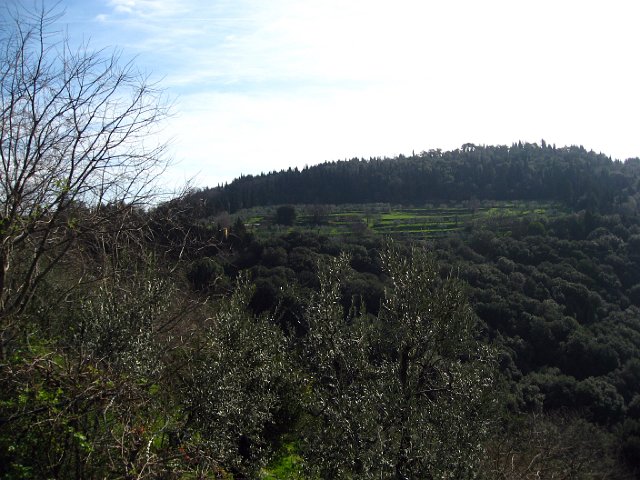Fiesole - Parco di Montececeri-01.JPG - This park, covering an area of 44 acres, is an extraordinary blend of culture and nature.